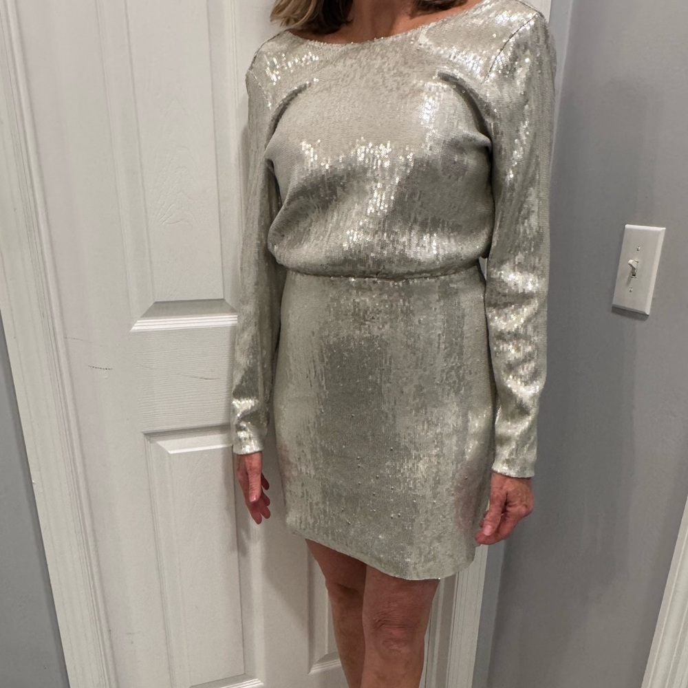 Sparkling Sequin Mini Dress - Silver